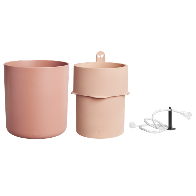 bouncy basil mou terra